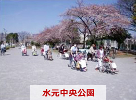 水元中央公園